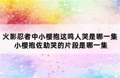 火影忍者中小樱抱这鸣人哭是哪一集 小樱抱佐助哭的片段是哪一集